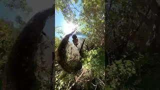 Waterjump