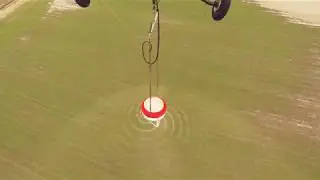 Fertilizing