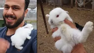 TAVŞAN YAVRULARINI ARADIMMM BULDUMMM !!!