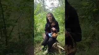 За грибами 🍄🍄‍🟫🍄