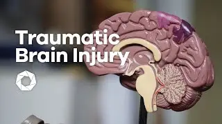Episode 9: Traumatic Brain Injury