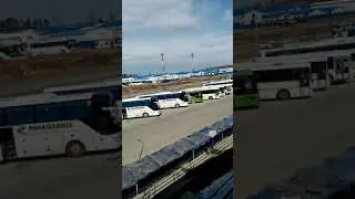 24 Апрели соли 2020
