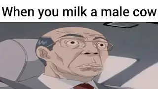 Animal Slander 1