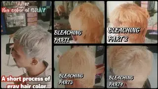 PROSES PEWARNAAN RAMBUT GREY