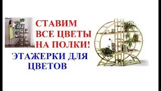 Полки для цветов. Этажерки для цветов