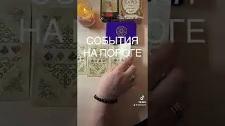 3 октября 2024 г.