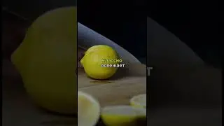 3 августа 2024 г.