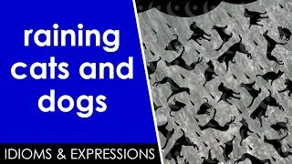 Learn English slang | raining cats and dogs | Idioms & expressions