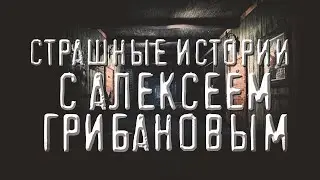 Страшные истории С Алексеем Грибановым. Ужасы.