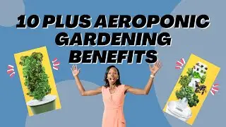 Aeroponic gardening for beginners - Benefits to gardening!