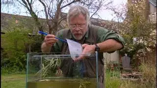 Ponds on Bill Oddie's How to Watch Wildlife (2005)