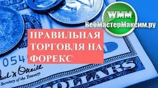 Правильная торговля на Форекс. Как добиться успеха