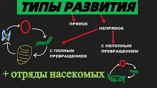 ТИПЫ ПОСТЭМБРИОНАЛЬНОГО РАЗВИТИЯ - отряды насекомых с полным и неполным превращением ЕГЭ