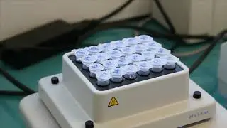 Pathogen analysis [PoshBee training]