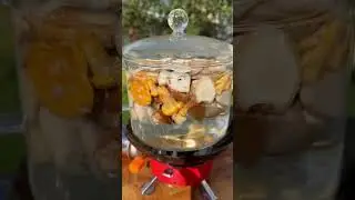 Грибы интересуют ? 🍄 #shorts