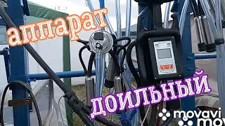 Обзор. Аппарат доильный система IMILK 401
