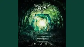 Transcendence