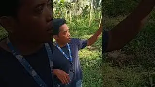 BERBURUH SARANG LEBAH PART 2