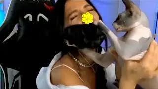 tenderlybae спалила нос на стриме