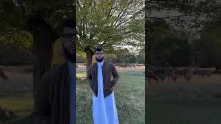 Allah’s Creation