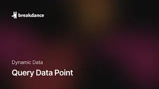 Query Data Point