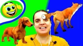 БолтушкА ВеселушкА КОНЬ Такса и ЛИСА в ДОГ Сим! Игра Дог Симулятор
