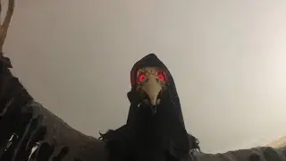 Lord Raven Animatronic Demo | Spirit Halloween 2022