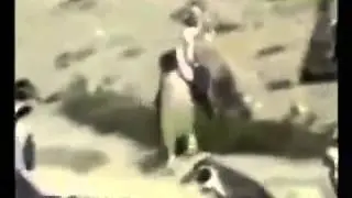 Nur Die Wahrheit
