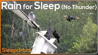 ►Fall Asleep Fast with Soothing Rain Sounds for Sleeping