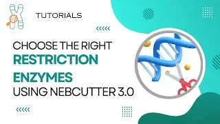 Restriction Enzymes choice using NEBCutter 3.0