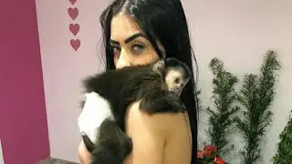 MC MIRELLA COM O SEU MACAQUINHO LINDO 🌼