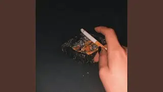 kippen an weihnachten