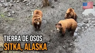 Sitka, Alaska 🇺🇸 | La mejor experiencia de vida salvaje y tótems