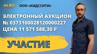 Электронный аукцион для ООО КИДССИТИ № 0373100028120000227.