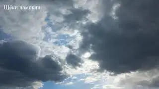 Зелёные стёкла - Порнофильмы