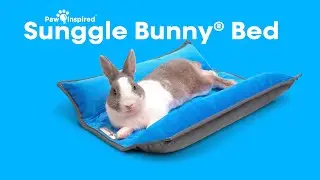 Snuggle Bed for Pets | Paw Inspired® Snuggle Bunny® (2024)
