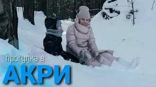 Ледянка, горки и ЗИМНИЙ ЛЕС. Прогулка в Акри. Семейный VLOG.