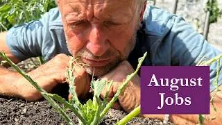 For ongoing beautiful harvests