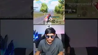 Buggy spray 