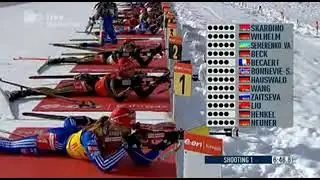 биатлон кубок мира 2008-2009 6 этап антхольц-антерсельва масс старт женщины