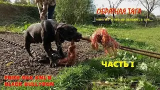 Буллисон,обратная горизонтальная тяга ( ЧАСТЬ I )