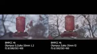 Olympus Lens Test: 35mm F2 vs 55mm F1.2