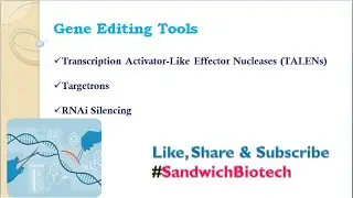 Gene Editing Tools #TALENS #Targetrons #RNAi Silencing