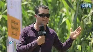م.محمد السيسي: 2017 شهدت بداية برنامج فيوتشر انترناشيونال للبذور لتطوير الذرة الشامية