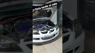 Ya decidí que esta tarde sí sale