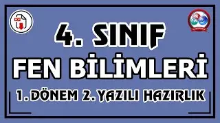 4. Sınıf Fen Bilimleri 1. Dönem 2. Yazılı Hazırlık | Çözümlü Örnekler  | Canlı Ve Ayrıntılı Anlatım