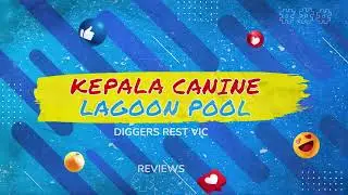 🏊‍♂️Discover the Stunning Kepala Canine Lagoon Pool at Sniffspace🌊