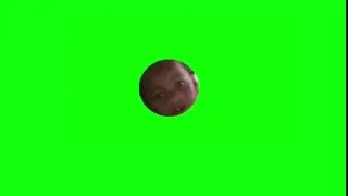 Hello Mother Fuccckeer - Green Screen (HD)
