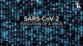 SARS-CoV-2: Evolution of a virus