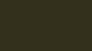 10 hours of very dark brown aesthetic screen NO AUDIO